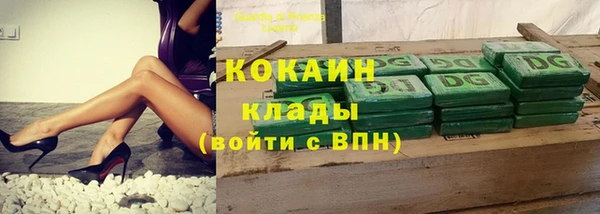 бошки Аркадак