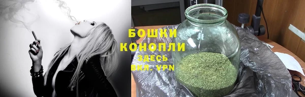 бошки Аркадак