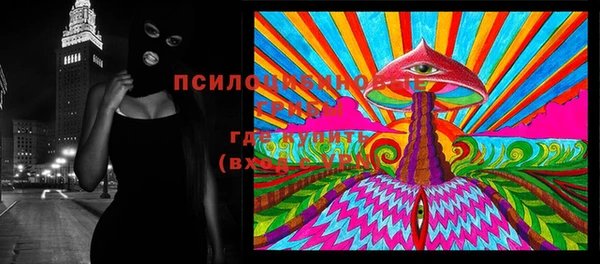 амф Россошь