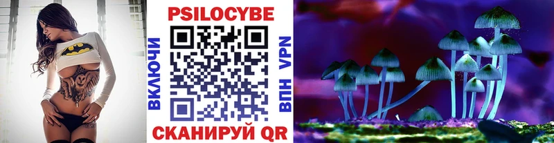 Галлюциногенные грибы GOLDEN TEACHER Армянск