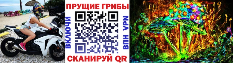 хочу Армянск Псилоцибиновые грибы Cubensis
